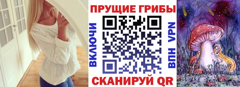 Псилоцибиновые грибы ЛСД  где купить наркоту  Долинск 
